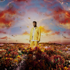 Nonso Amadi - When It Blooms - [Vinyl]