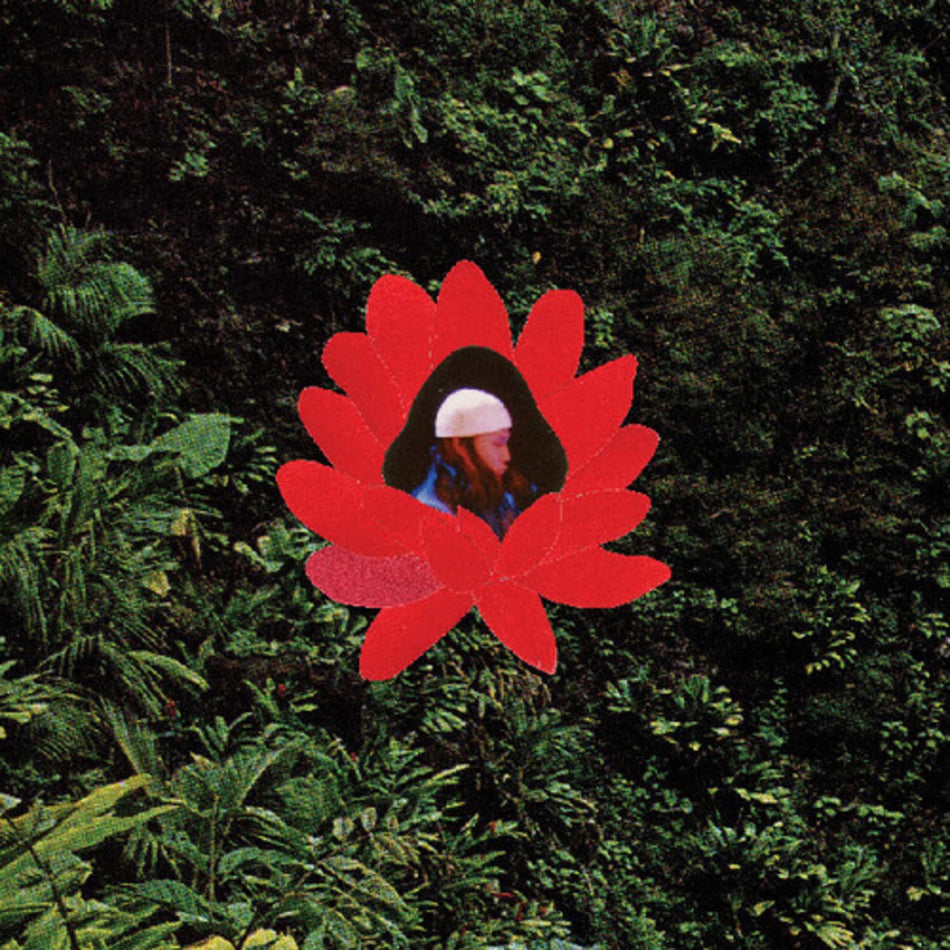 Lionmilk - When The Flowers Bloom - [Vinyl]
