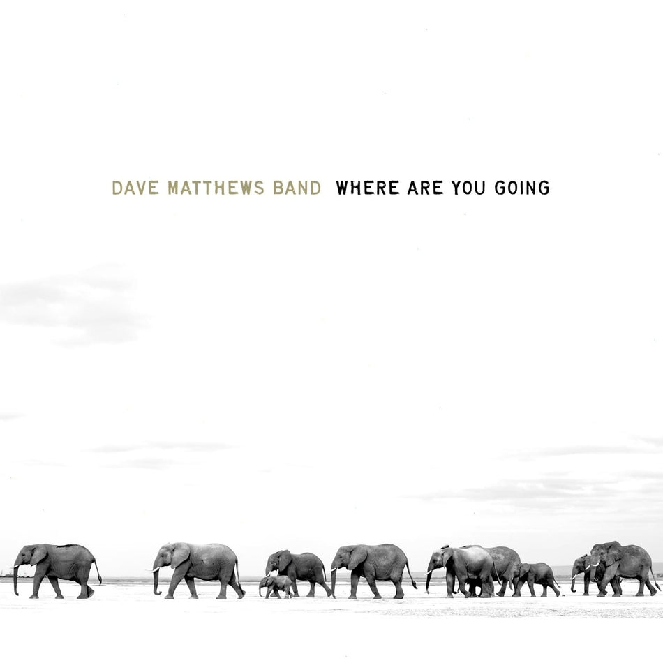 Dave Matthews Band - Where Are You Going: The Singles - (140 Gram Vinyl, Gatefold LP Jacket) - [Vinyl]