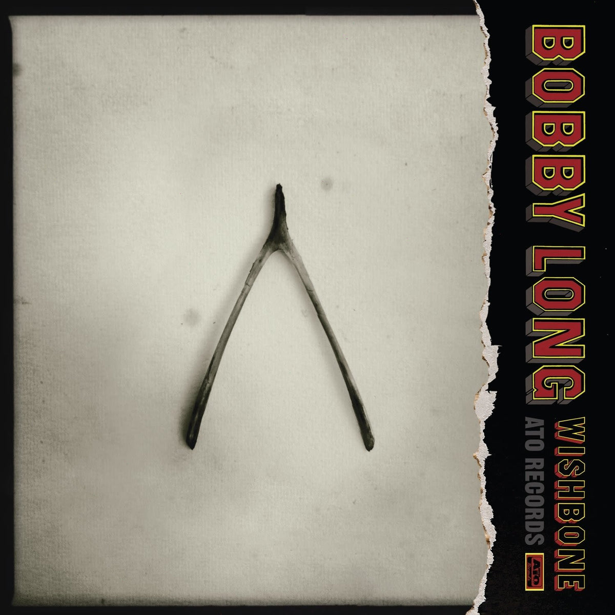 Bobby Long - Wishbone - [Vinyl]