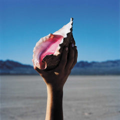 The Killers - Wonderful Wonderful - [Vinyl]