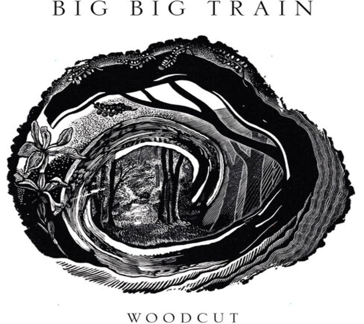 Big Big Train - Woodcut - (Booklet, Jewel Case Packaging) - [CD]