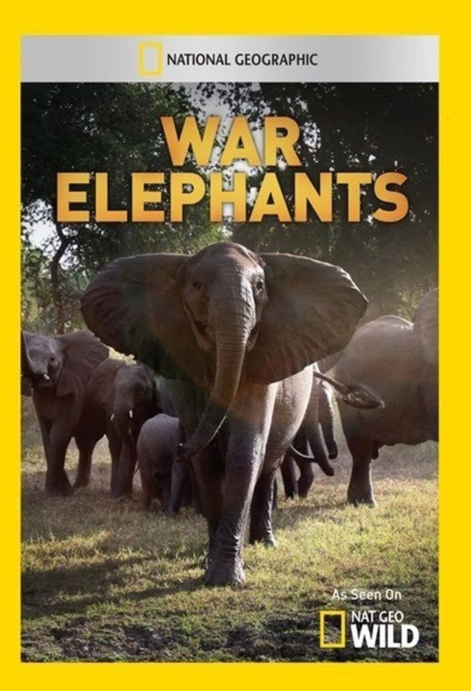 War Elephants - (NTSC Format) - [DVD]