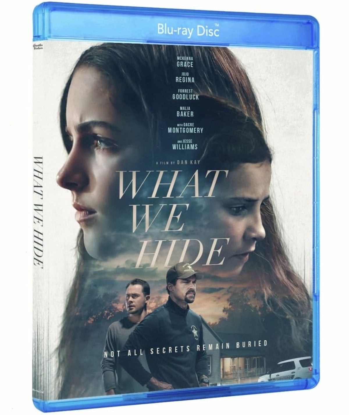 What We Hide - [Blu-ray]