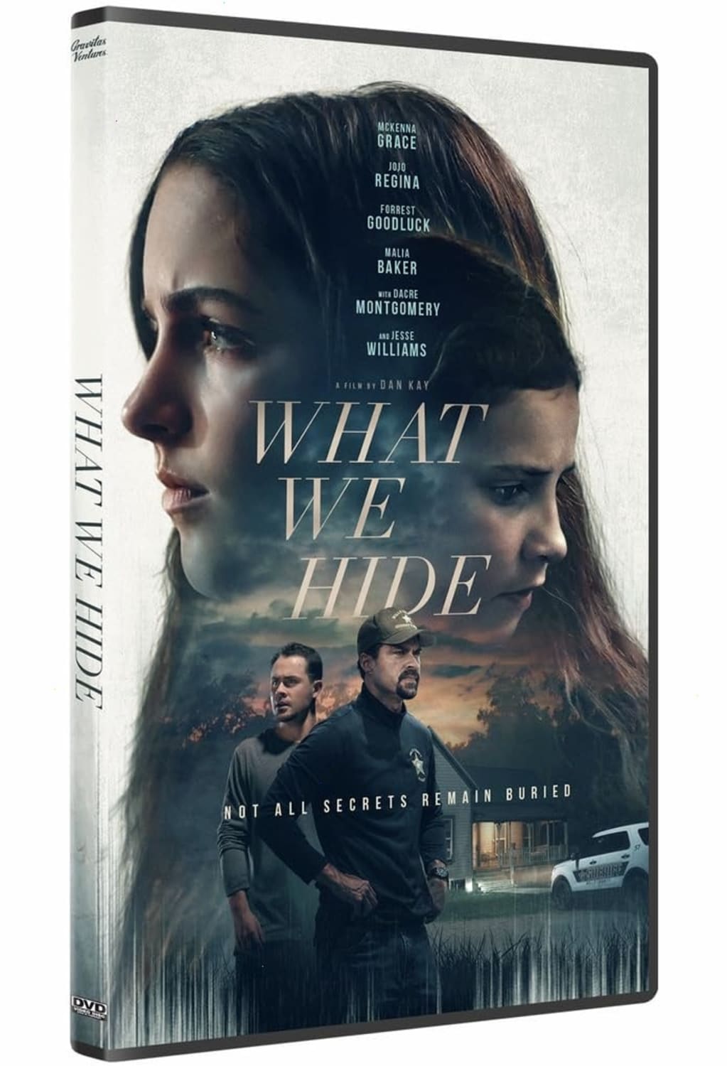 What We Hide - [DVD]