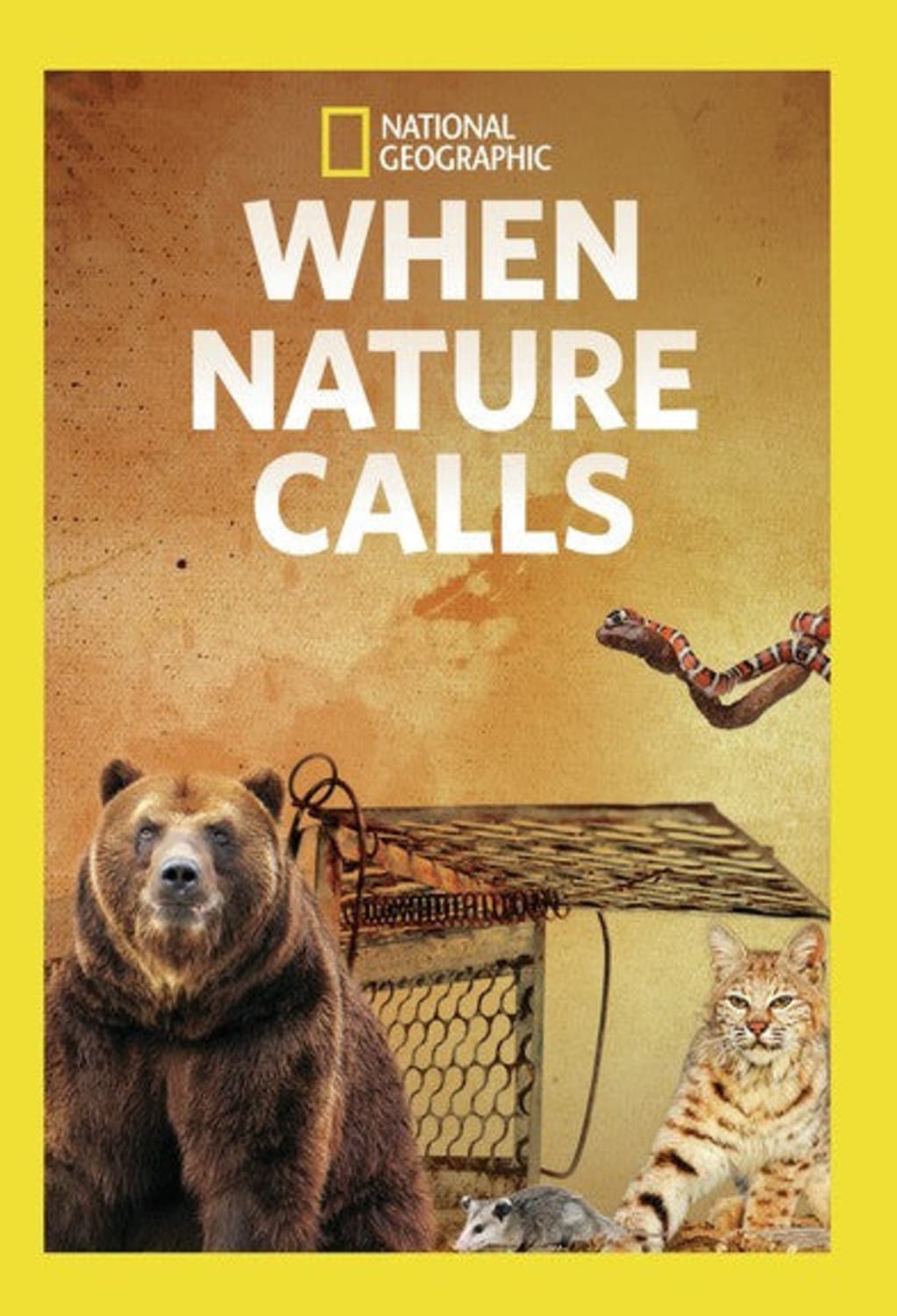 When Nature Calls - (Widescreen, Dolby, AC-3, NTSC Format) - [DVD]