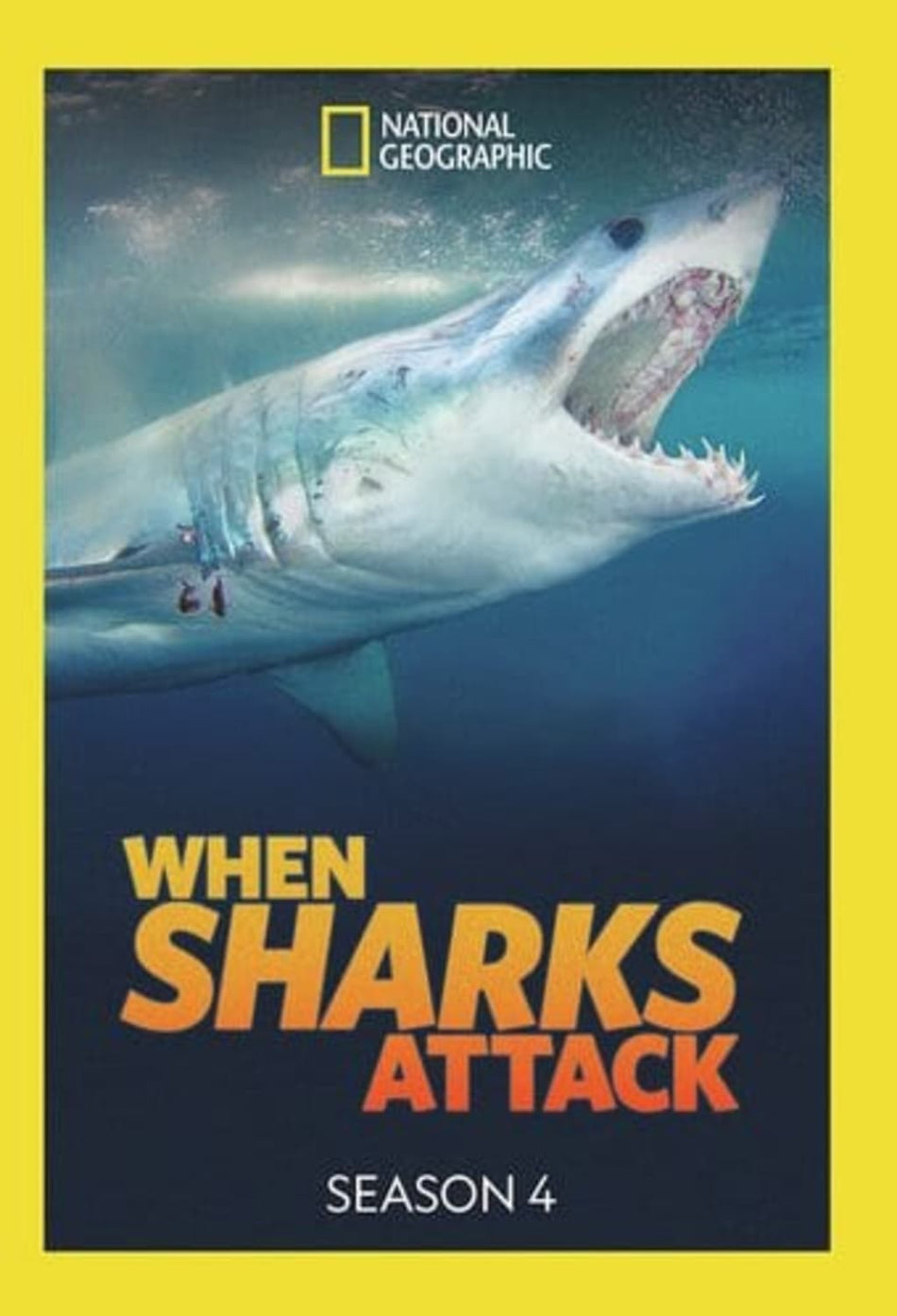 When Sharks Attack: Season 4 - [DVD]