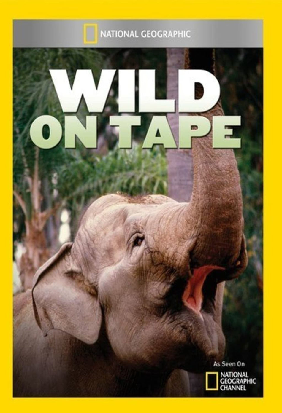 Wild on Tape - (NTSC Format) - [DVD]