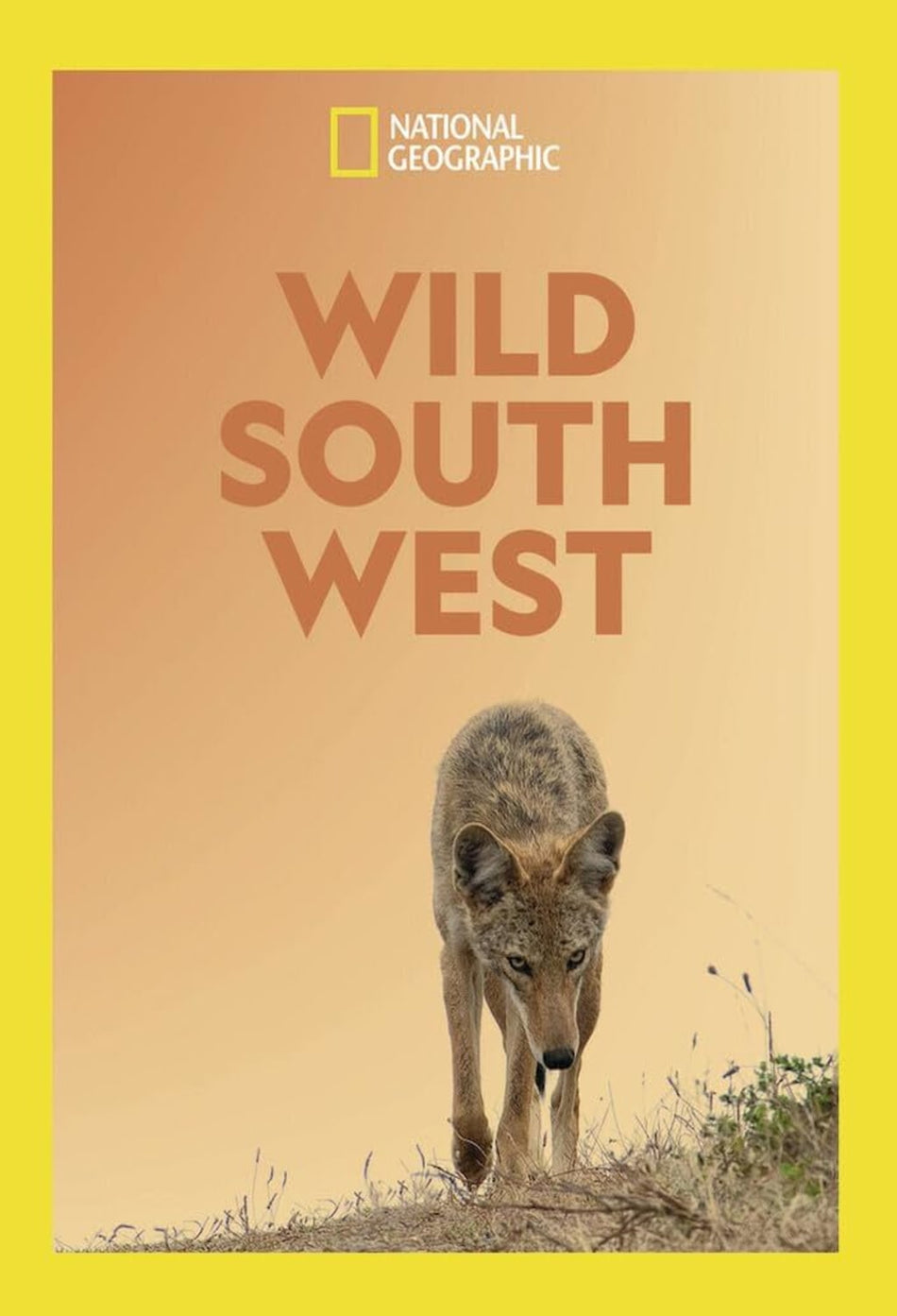 Wild South West (fka South by Wild West) - (NTSC Format) - [DVD]