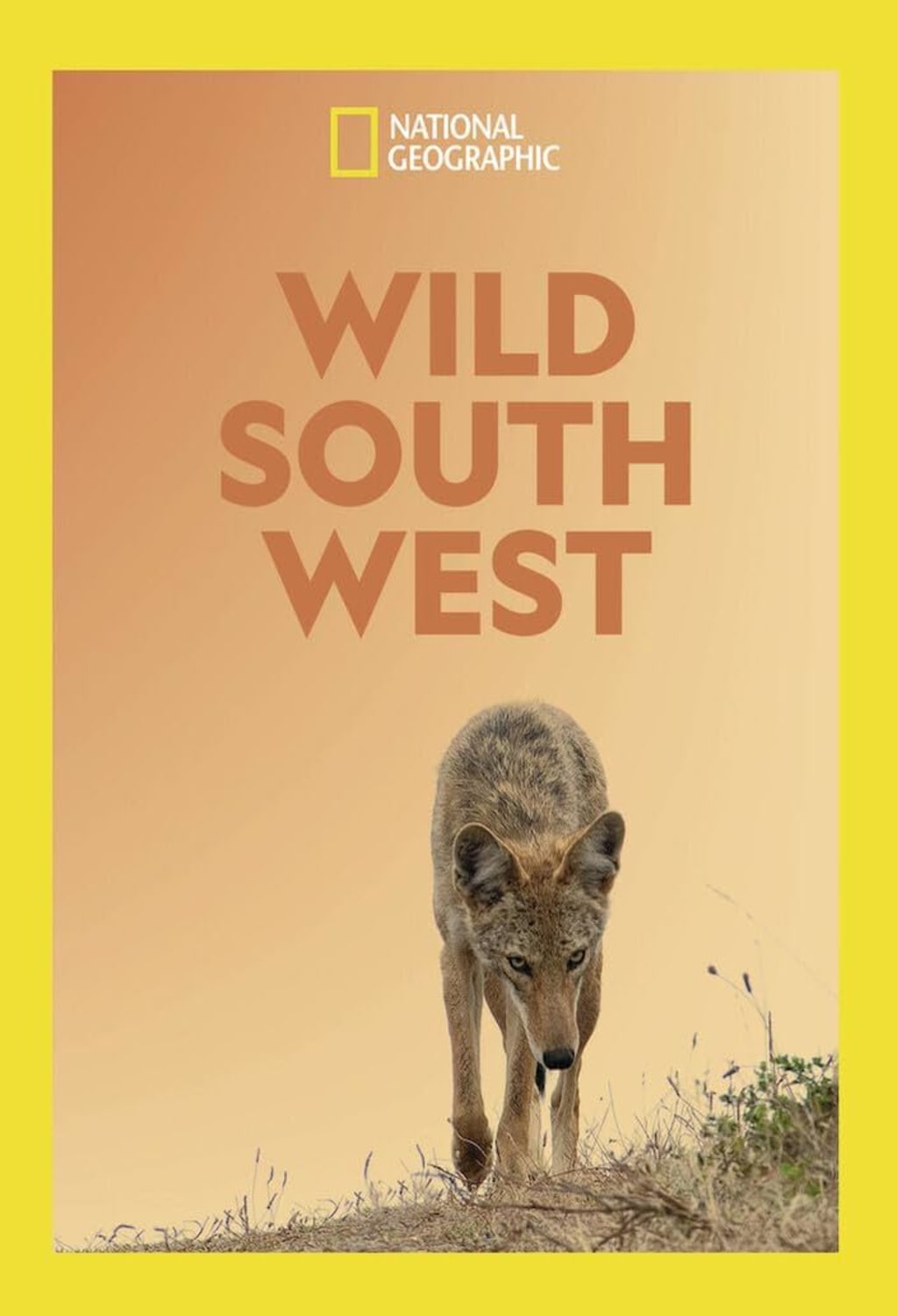 Wild South West (fka South by Wild West) - (NTSC Format) - [DVD]