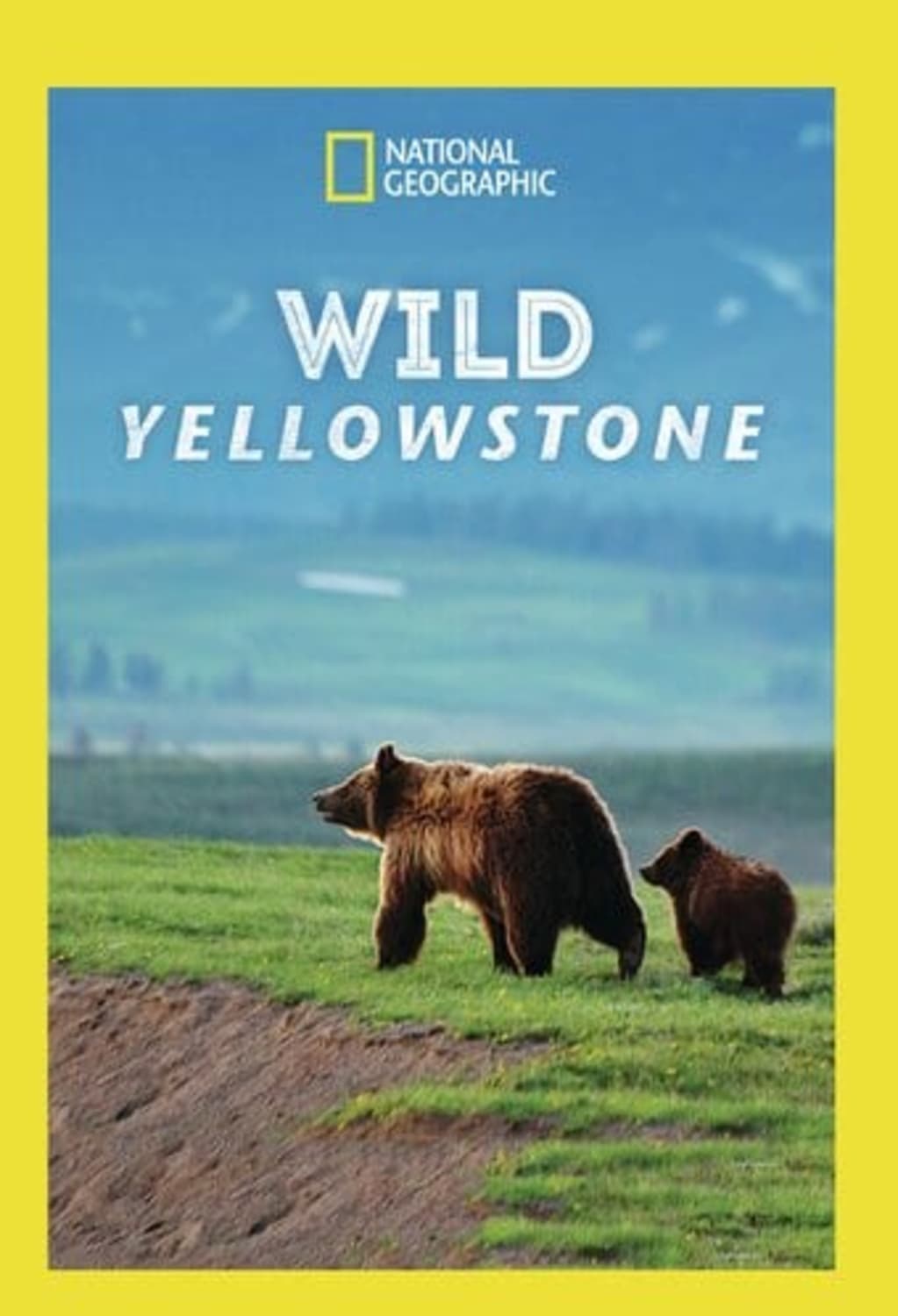 Wild Yellowstone - (Widescreen, Dolby, AC-3) - [DVD]