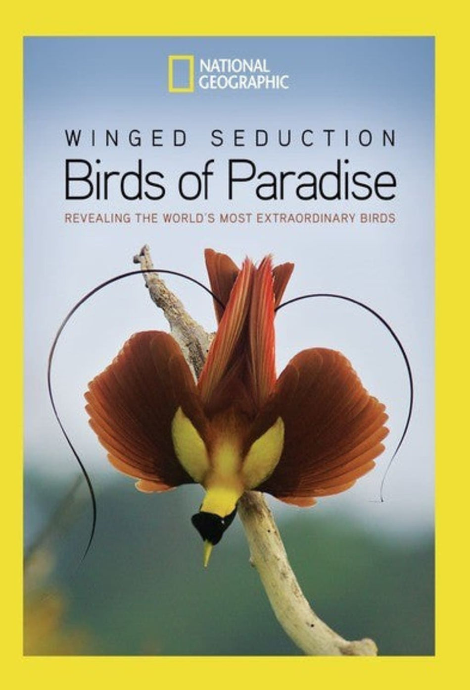 Winged Seduction: Birds Of Paradise - (Widescreen, Dolby, AC-3, NTSC Format) - [DVD]