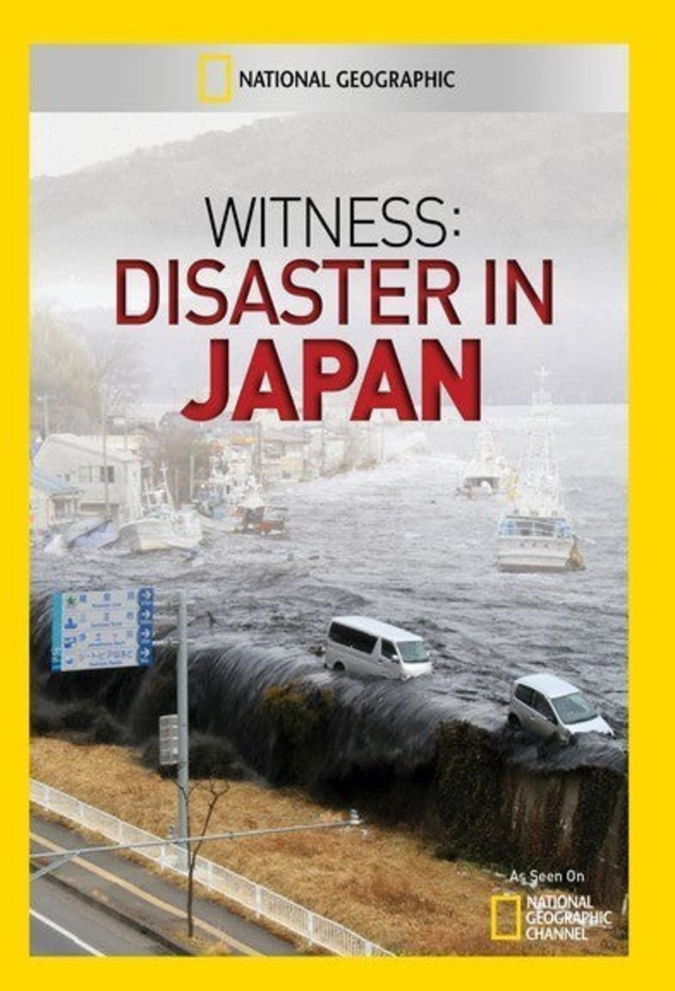 Witness: Disaster in Japan - [DVD]