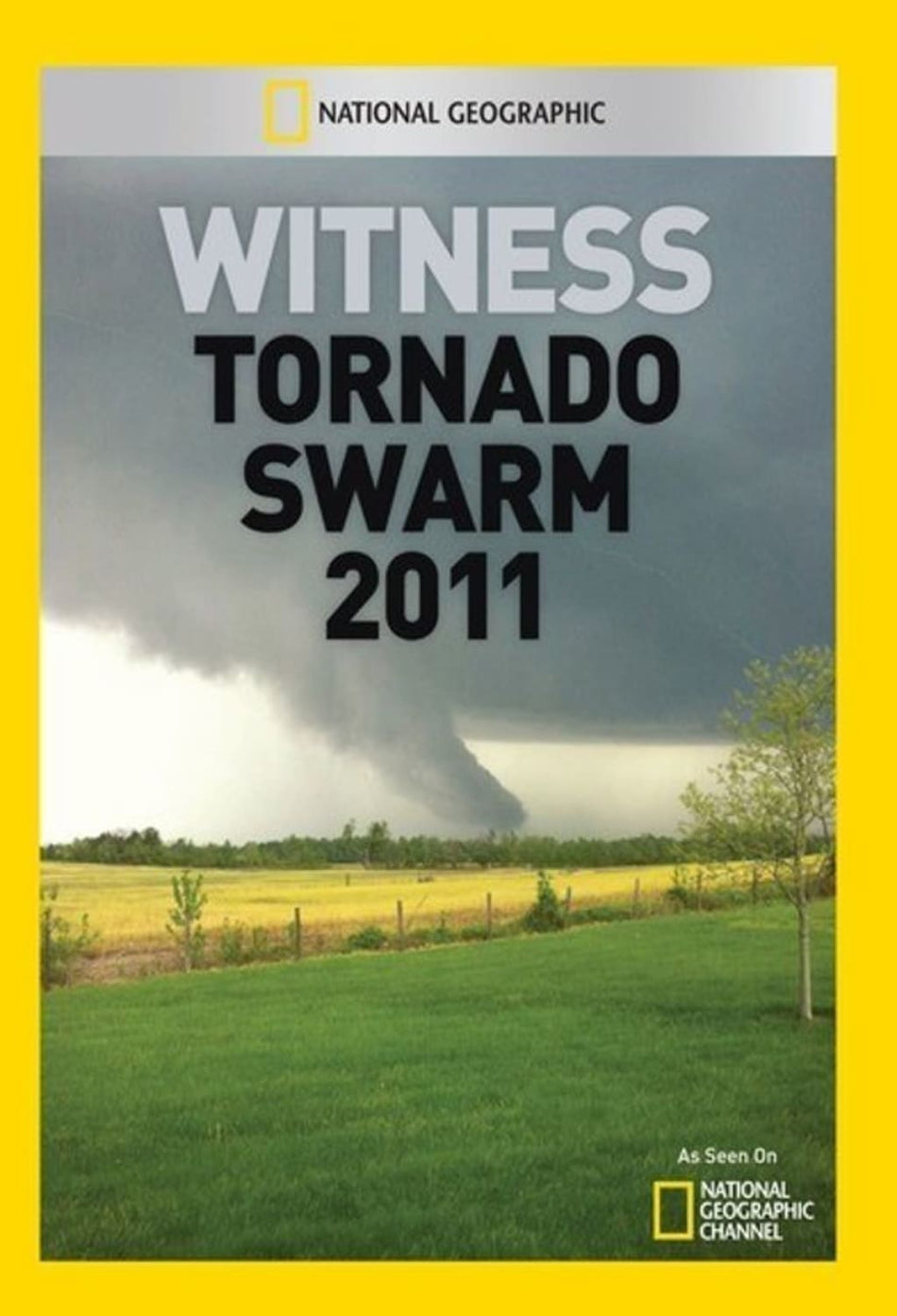 Witness: Tornado Swarm 2011 - (NTSC Format) - [DVD]