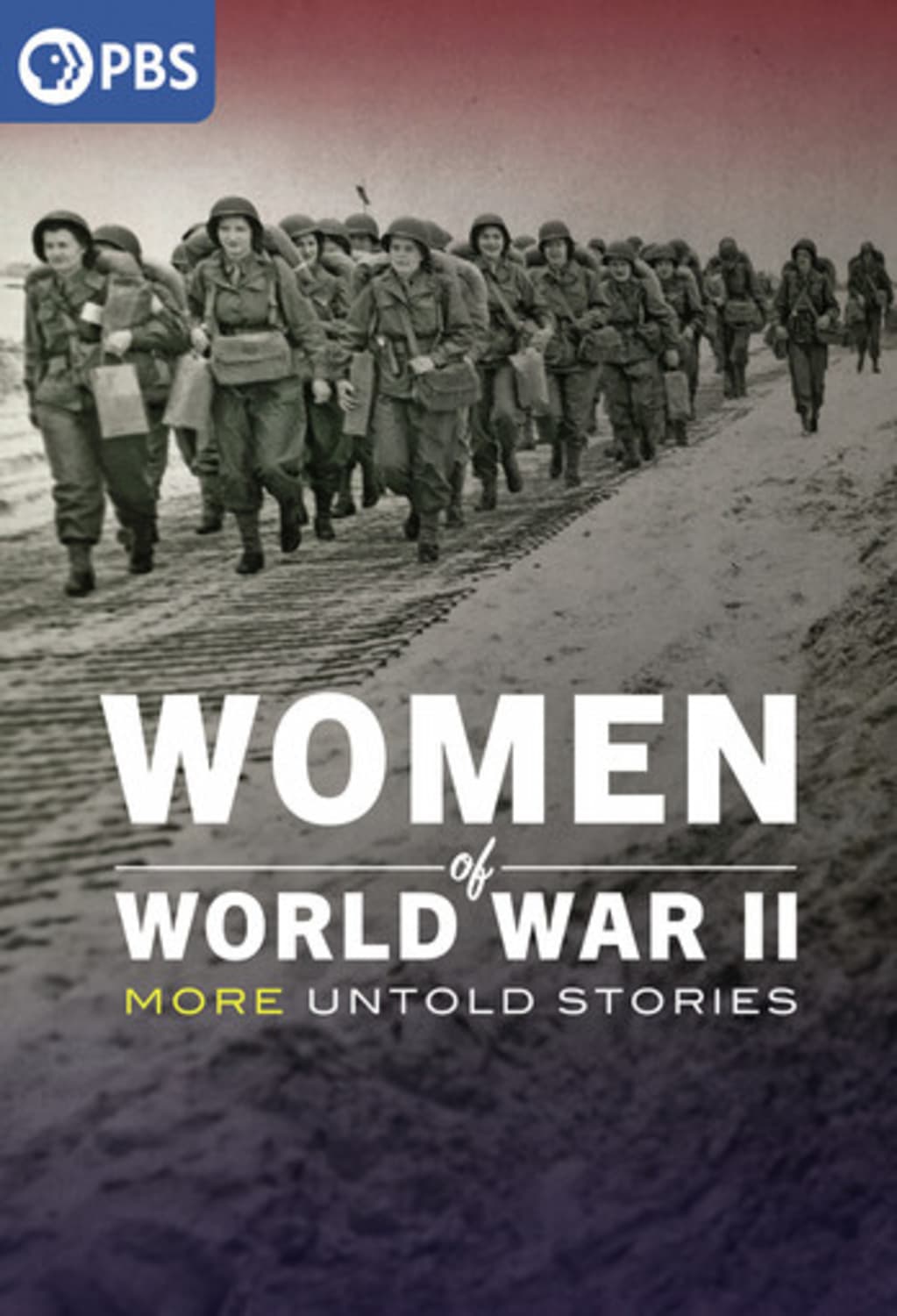 Women Of World War II: More Untold Stories - [DVD]