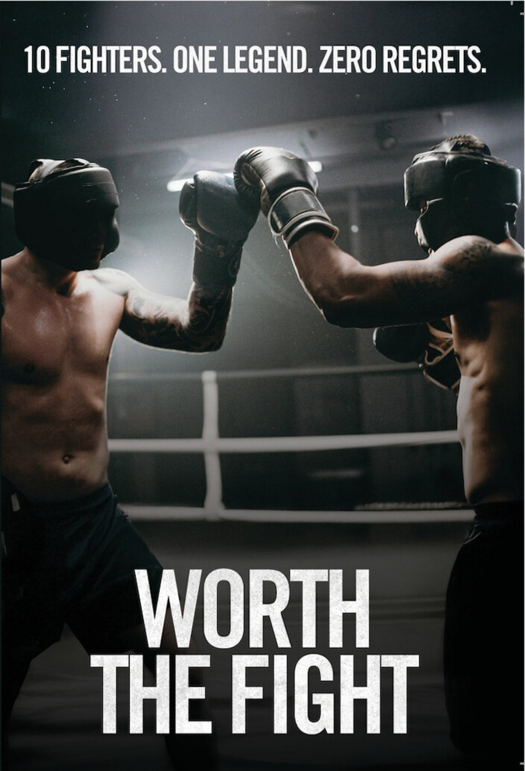Worth The Fight - [DVD]