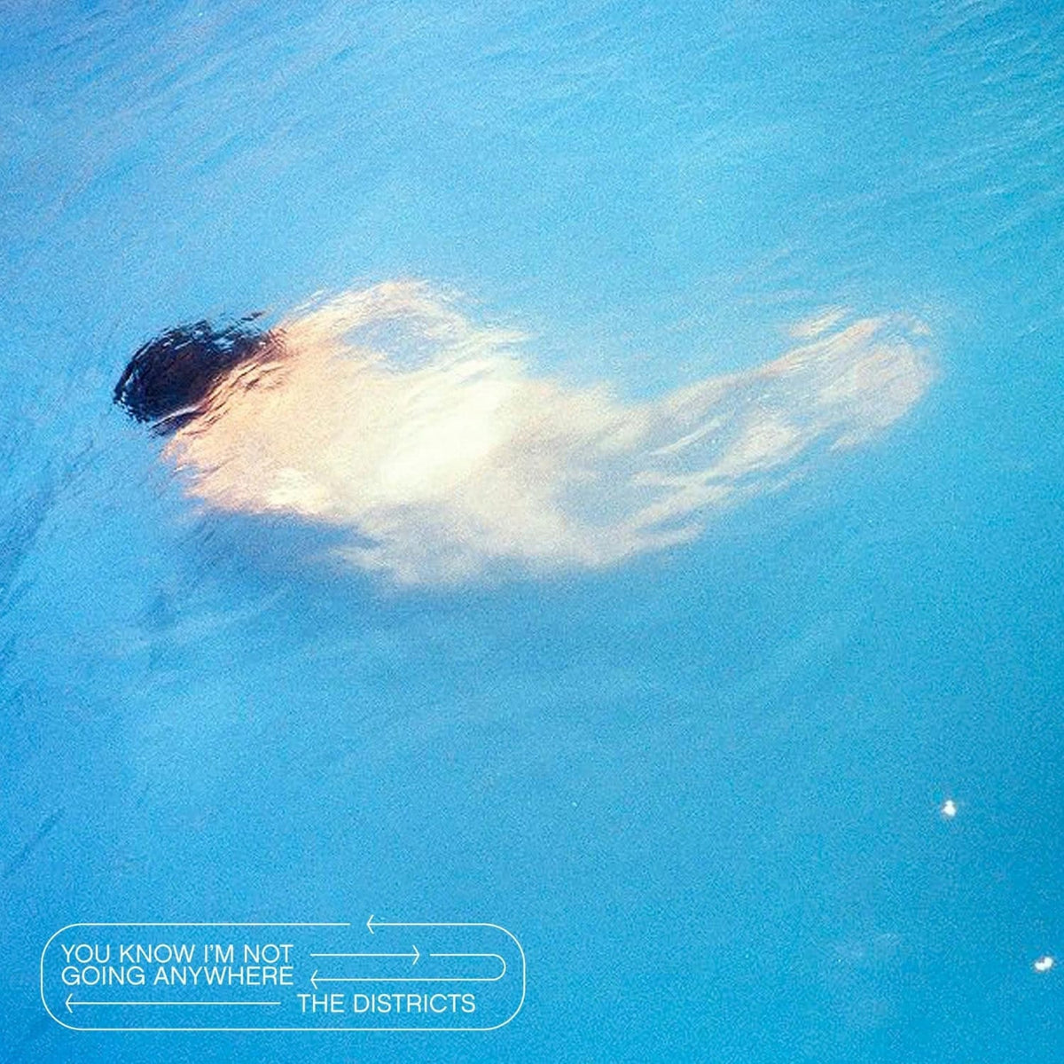 The Districts - You Know I'm Not Going Anywhere - [Vinyl]