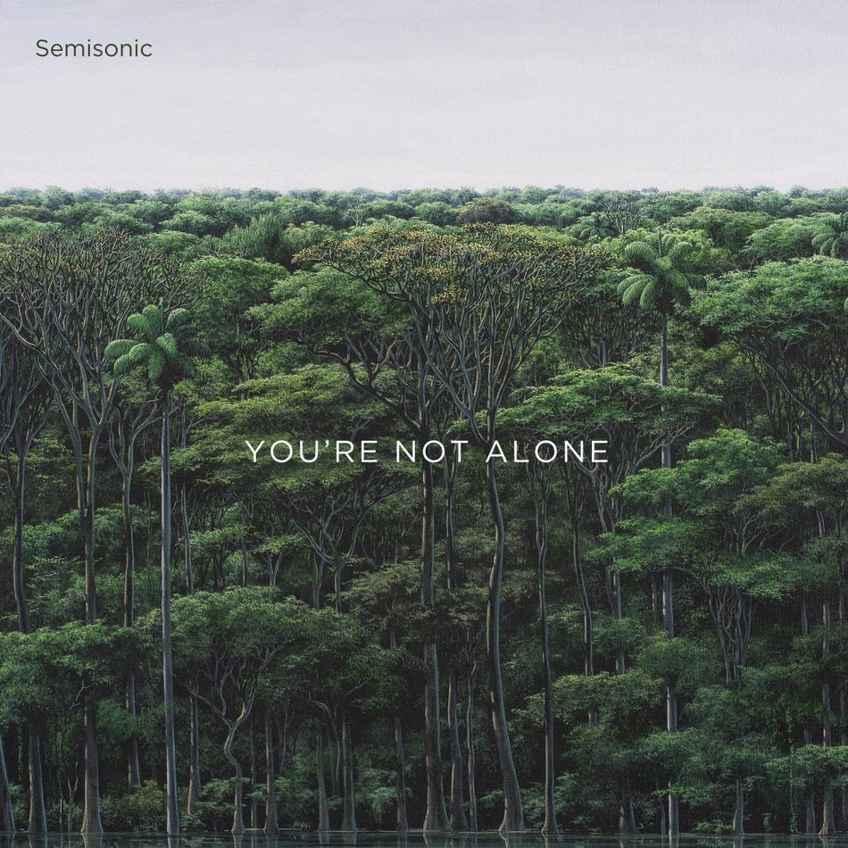 Semisonic - You're Not Alone - [Vinyl]
