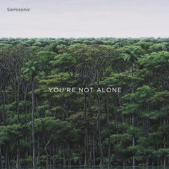Semisonic - You're Not Alone - [Vinyl]
