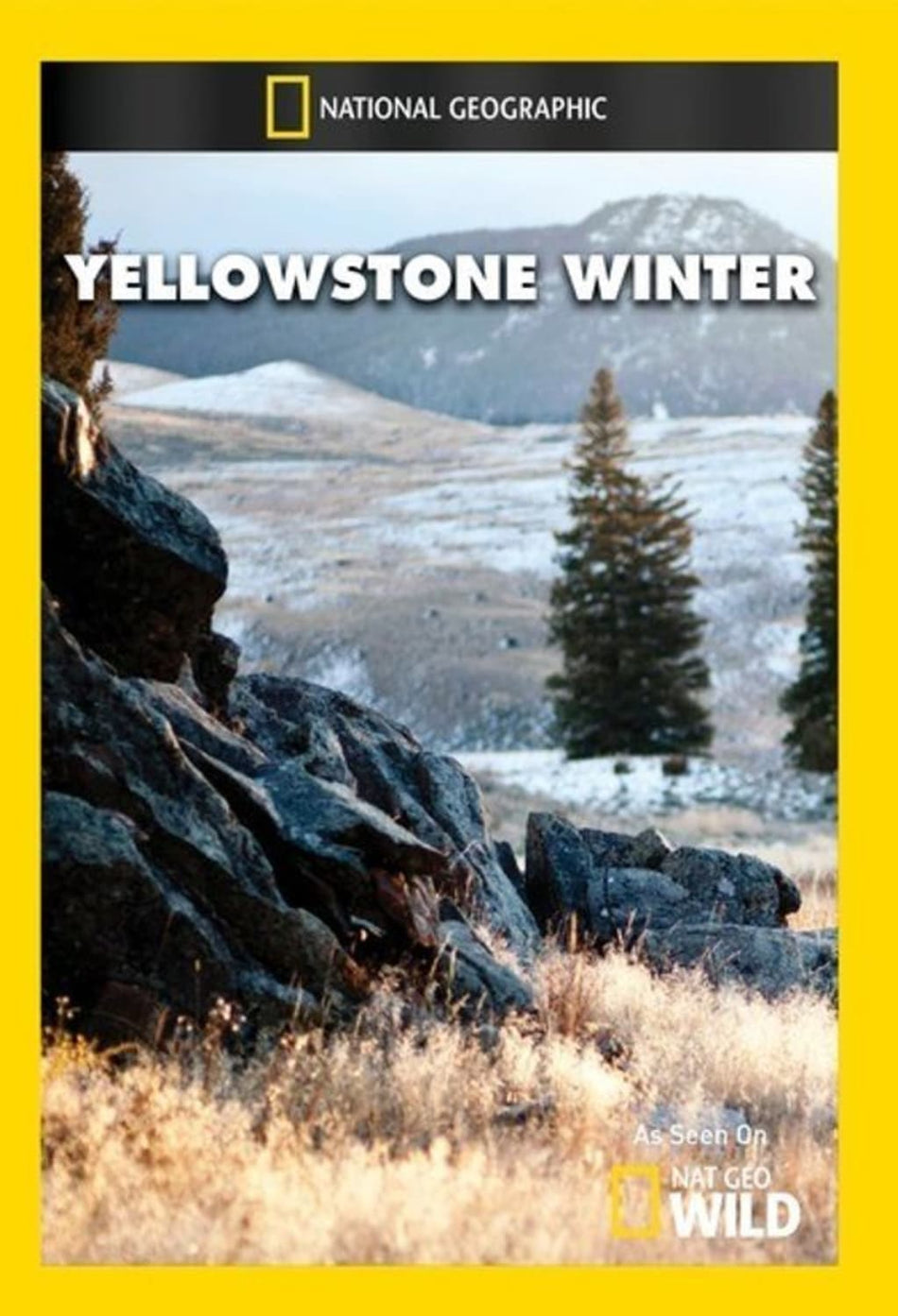 Yellowstone Winter - (NTSC Format) - [DVD]