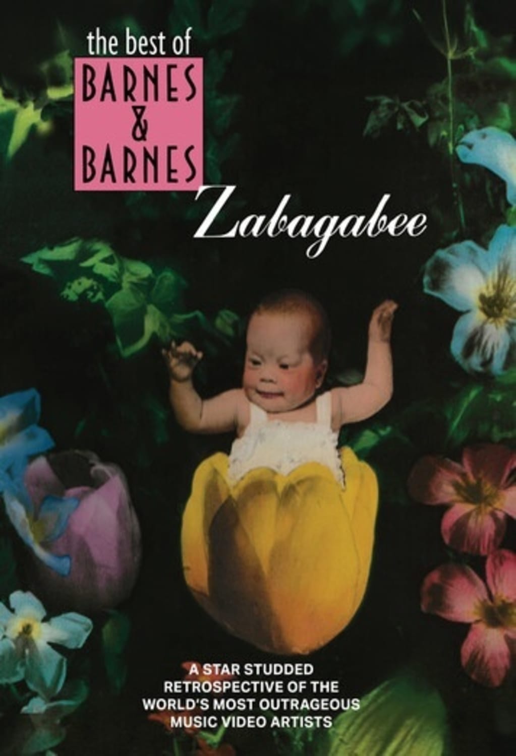 Zabagabee: The Best Of Barnes & Barnes - [DVD]