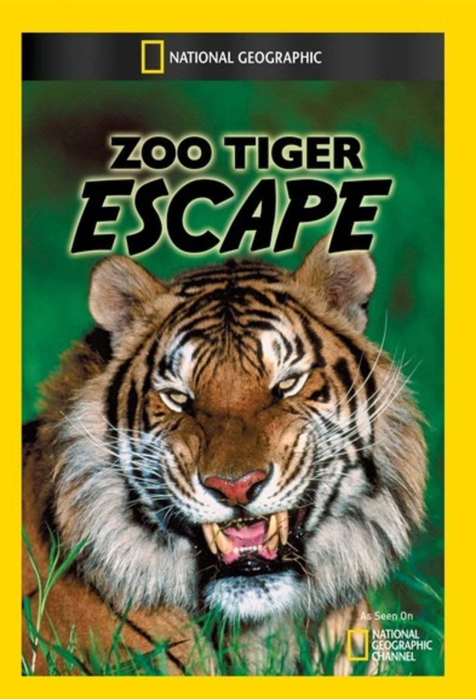 Zoo Tiger Escape - (NTSC Format) - [DVD]