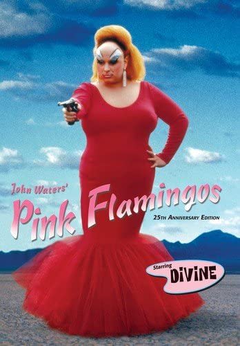 Pink Flamingos (25th Anniversary Edition) - (Anniversary Edition, Dolby, Amaray Case, Subtitled) - [DVD]