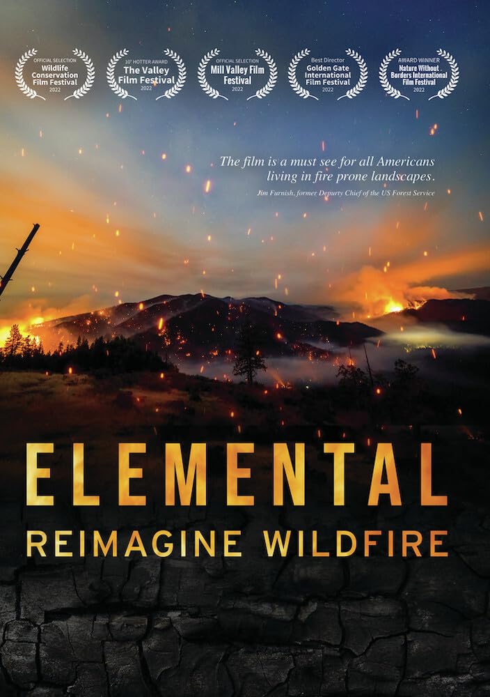 Elemental: Reimagine Wildfire - [DVD]