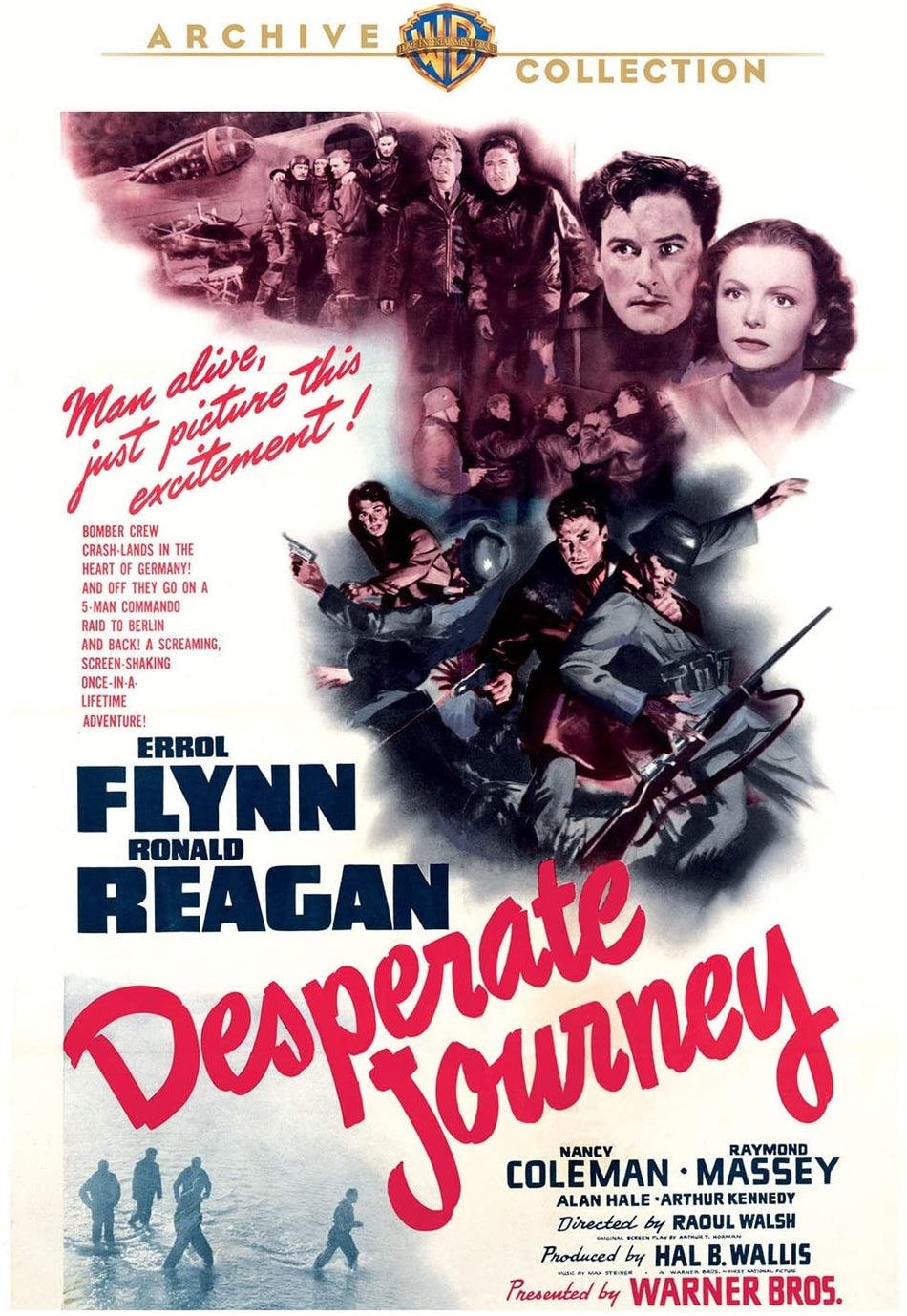 Desperate Journey - (Full Frame, Amaray Case, Subtitled) - [DVD]