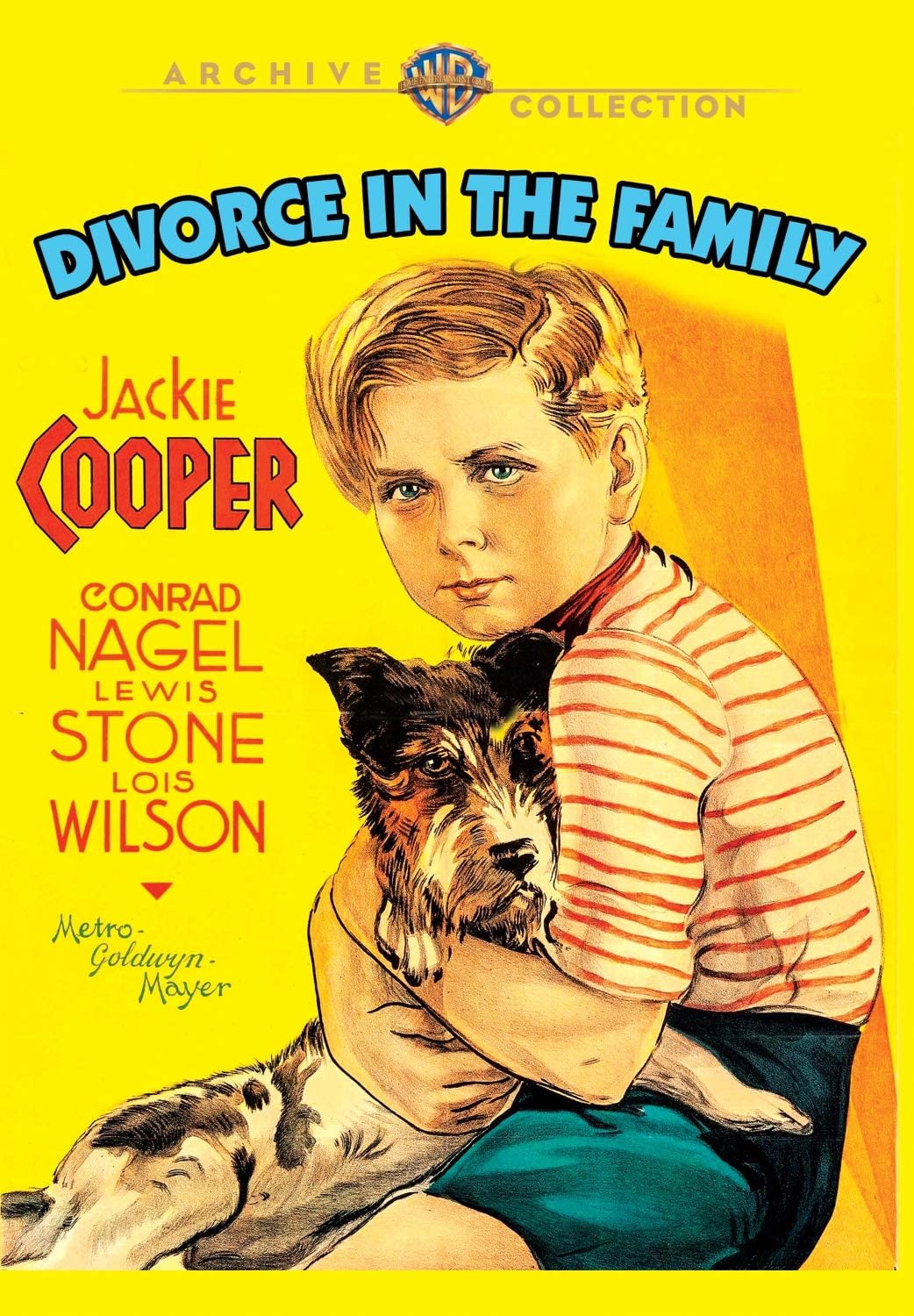 Divorce in the Family - (Full Frame, Amaray Case) - [DVD]