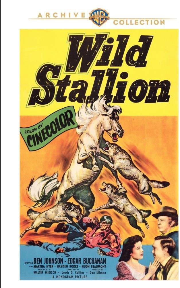 Wild Stallion - (Full Frame, Dolby, Mono Sound) - [DVD]