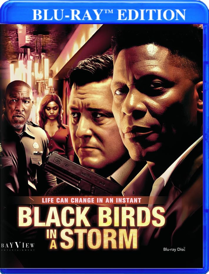 Black Birds In a Storm - [Blu-ray]