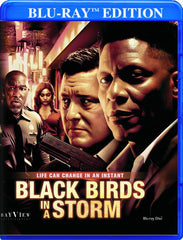 Black Birds In a Storm - [Blu-ray]