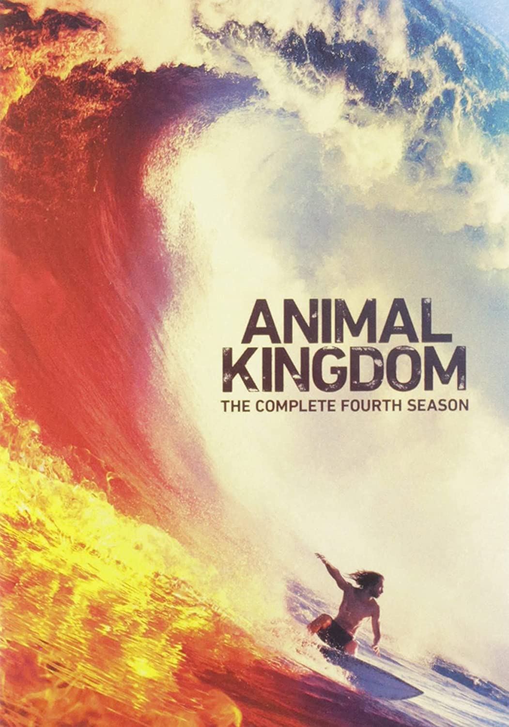 Animal Kingdom: The Complete Fourth Season - (Full Frame, Amaray Case, Subtitled) - [DVD]