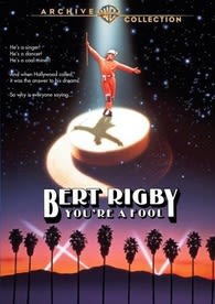 Bert Rigby, Youâre a Fool - (Widescreen) - [DVD]