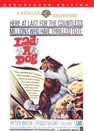 Lad a Dog - [DVD]