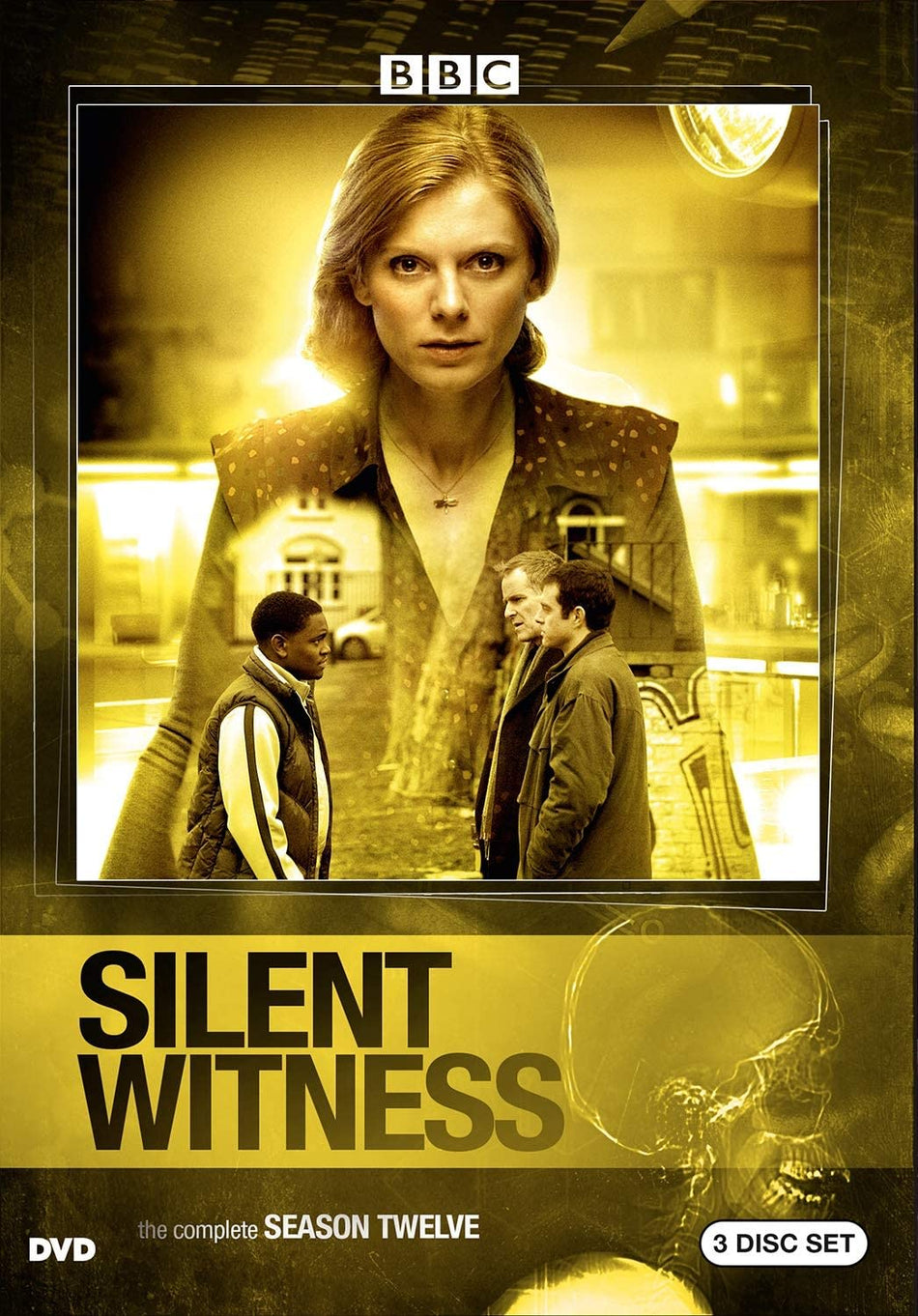 Silent Witness: The Complete Season Twelve - (3 Pack, Subtitled, Widescreen, Amaray Case) - [DVD]