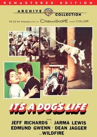 It's a Dog's Life - (Remastered) - [DVD]