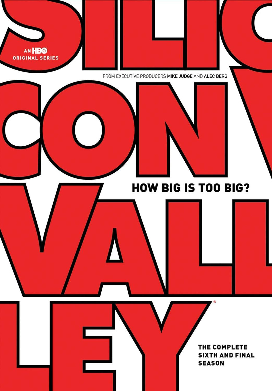 Silicon Valley: The Complete Sixth and Final Season - (Full Frame, Amaray Case, Subtitled) - [DVD]