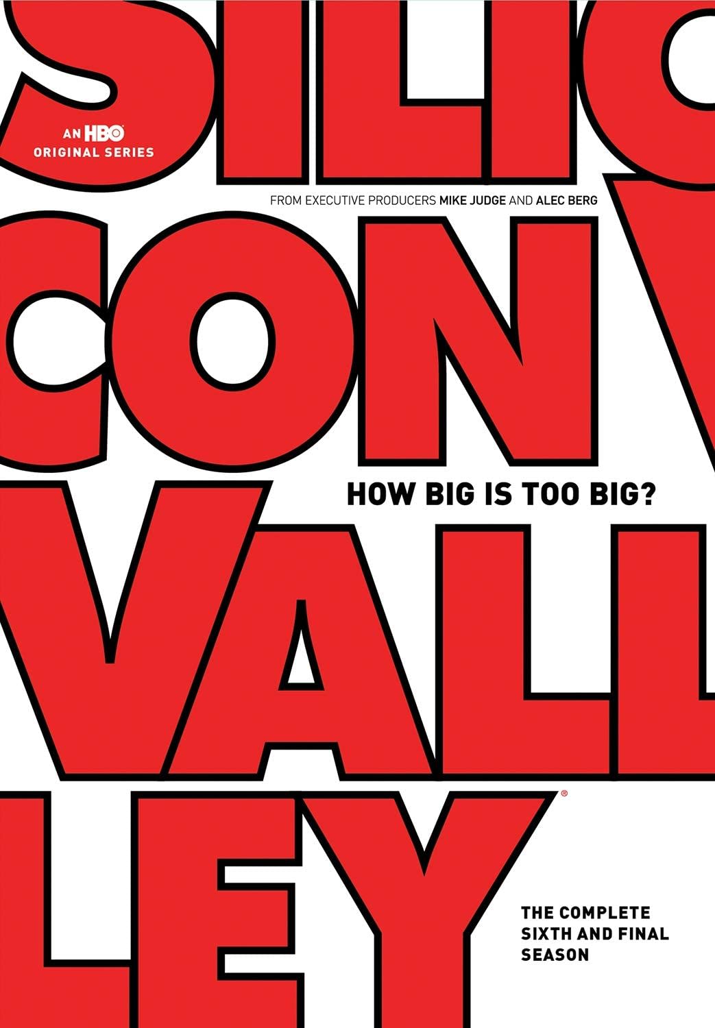 Silicon Valley: The Complete Sixth and Final Season - (Full Frame, Amaray Case, Subtitled) - [DVD]