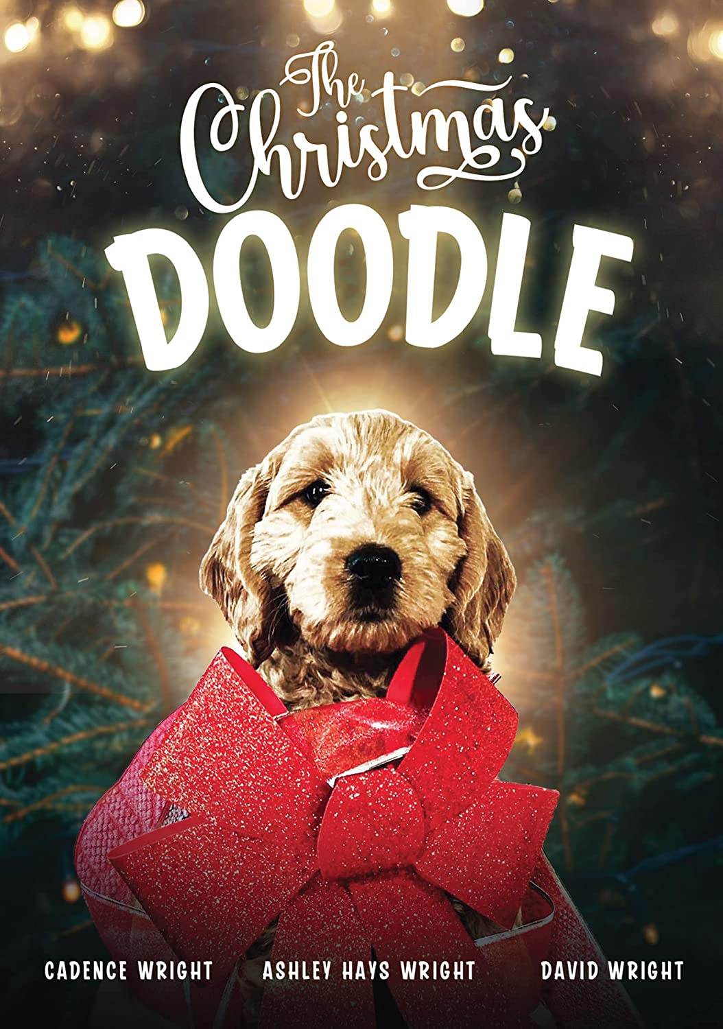 The Christmas Doodle - [DVD]
